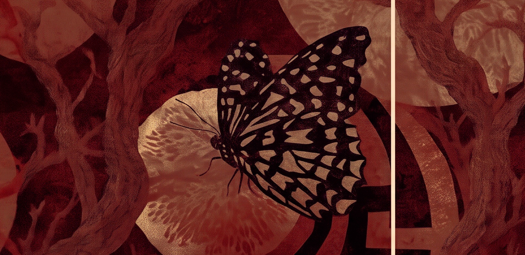 Wp external image s4KUjo